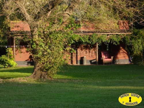 Imagen 2 de 17 de 1384hp- Chacra Pileta Galpón Casa Huéspedes Rp 192 - Torres