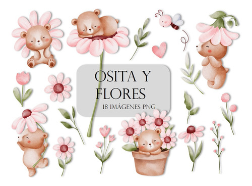 Kit Imagenes Png Osita Y Flores Lo25