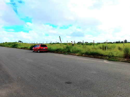 Virginia Vende Terreno En Tipuro Maturín 33 Hectareas