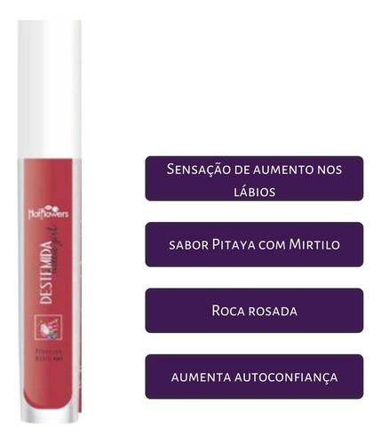 Gloss Labial Destemidas Pitaya Com Mirtilo Aumenta Lábios