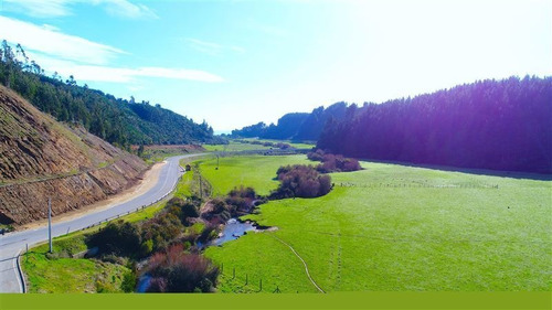 Imagen 15 de 15 de Sitio En Venta En Pelluhue
