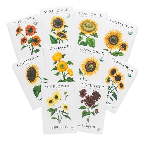 Colección De Semillas De Girasol (paquete De 10) - 100% Sin 