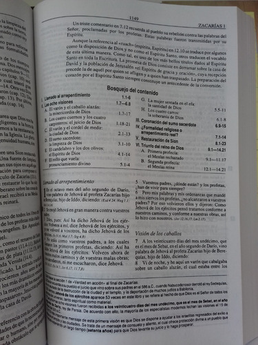 Imagen 8 de 9 de Biblia De Estudio Plenitud Reina - Valera 1960 Rústica