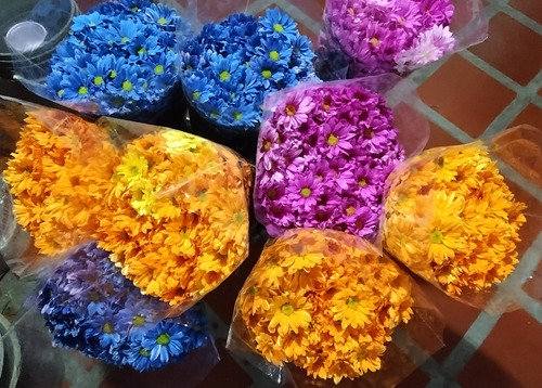 Flores Naturales Recién Cortadas