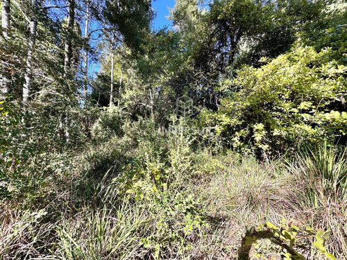 Hermoso Terreno En Arique Ruta Valdivia Los Lagos