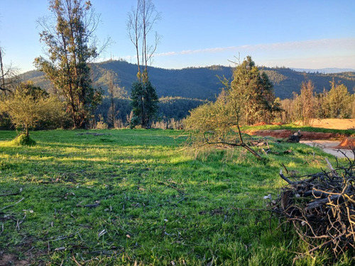 Vive En El Campo A 5 Minutos De La Ciudad De Quilpue
