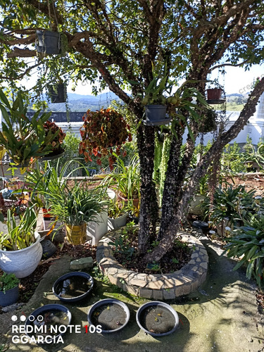 Chácara Térrea Com 3 Suítes ,piscina , Churrasqueiras, 5 Ban