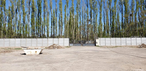 Imagen 17 de 30 de Alquilo Predio 6500 M2 Galpón 1900 M2 300 M2 Oficin Neuquen