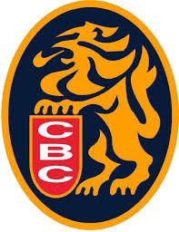 Imagen 5 de 6 de Franela Camisa Beisbol Lvbp Leones Del Caracas Dama