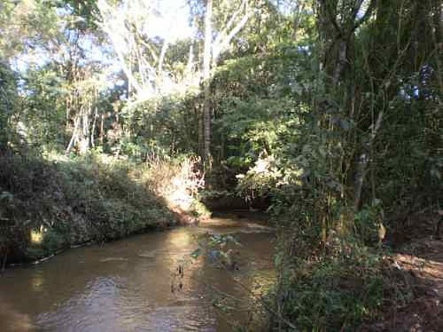 Imagem 14 de 14 de Sítios À Venda Em Atibaia/sp - Compre O Seu Sítios Aqui! - 87489