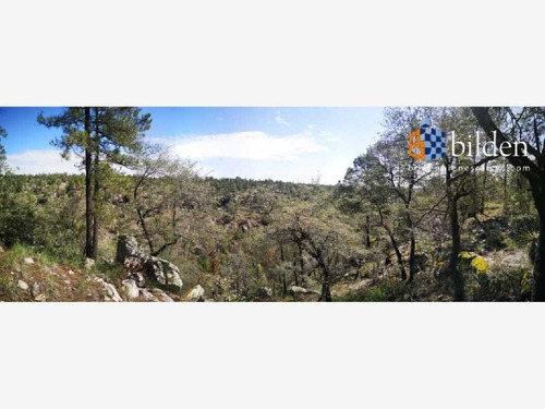 Imagen 8 de 9 de Terreno En Venta Sierra Durango
