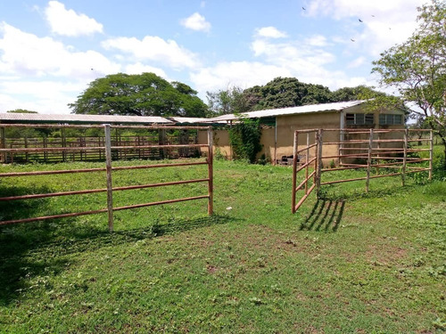 Imagen 6 de 8 de Venta De Extensa Finca En Cojedes - Inmobiliaria Maggi 1161
