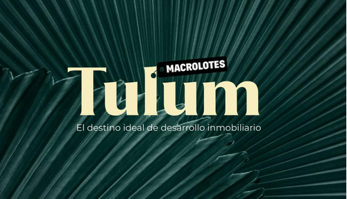 Terrenos Macrolote En Venta En Tulum, Quintana Roo - Zona Holistika -