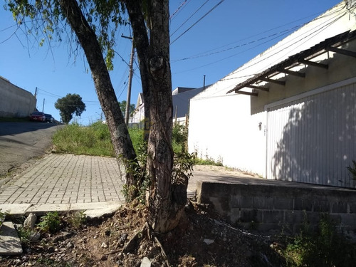 Imagem 6 de 12 de Terreno Para Venda Em Guabirotuba Curitiba-pr - 5696