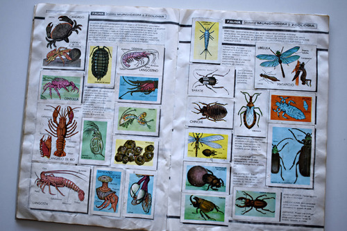 Flora Y Fauna (mundicrom (don Comic), 1992): Álbum Completo