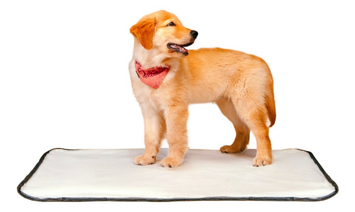 2 Tapete Higiênico Lavável Cachorro Cães Tamanho 60 X 80 Cm