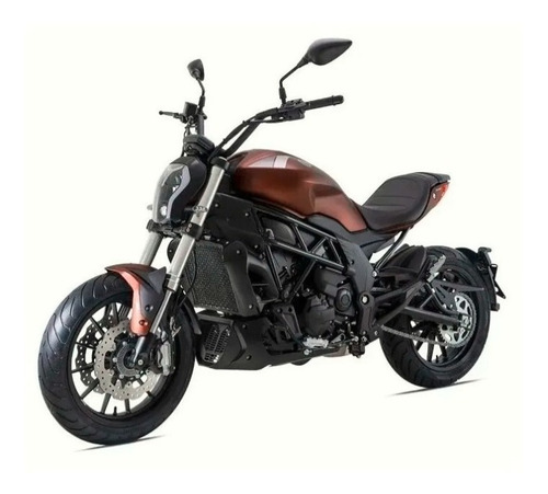 Imagen 17 de 18 de Benelli 502 C Usada