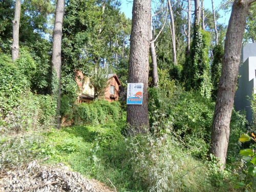 Imagen 3 de 3 de Lote En Mar Azul