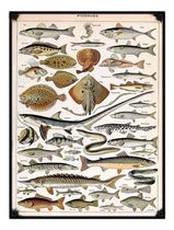 Comprar #1827 - Cuadro Vintage 30 X 40 - Pesca Pez Rio Mar Caña Reel