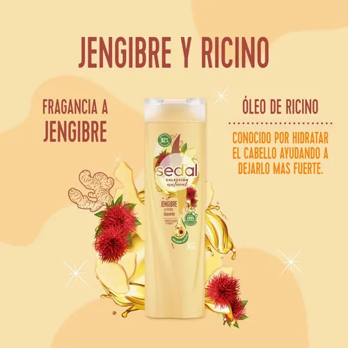Sedal Shampoo Jengibre Ricino 650ml