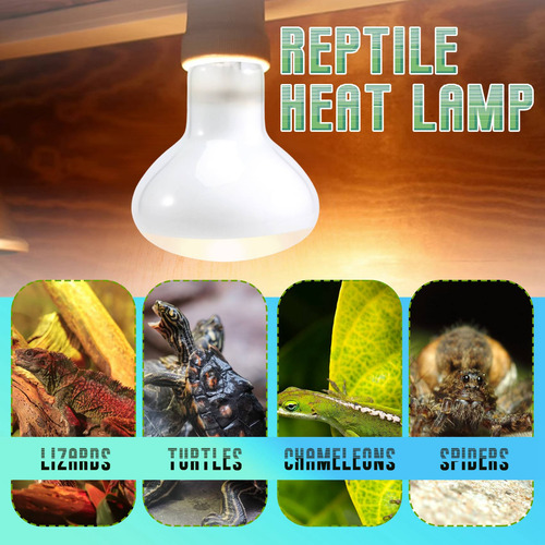 Paquete De 2 Bombillas Térmicas Uvb Uva Reptile Para Reptil