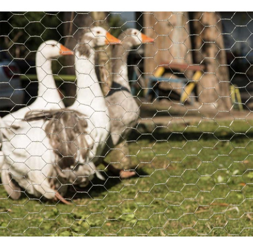 Malla Hexagonal Malla Gallinero Alambre 60cm X 3 Mt