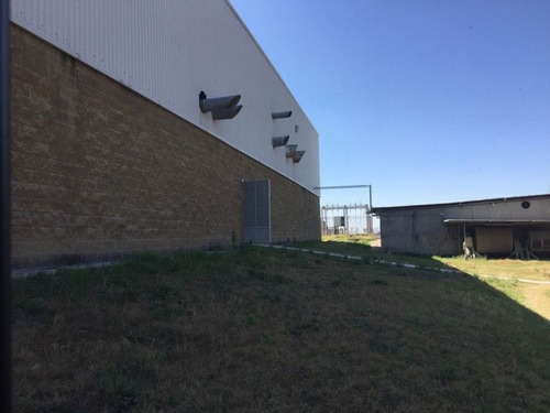 Nave Industrial En Venta O Renta En Irapuato