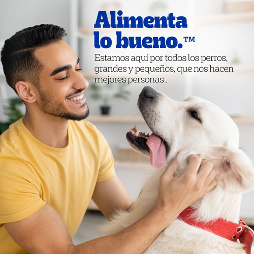 24 Sobres Pedigree Para Cachorros De Res En Filetes 100g C/u