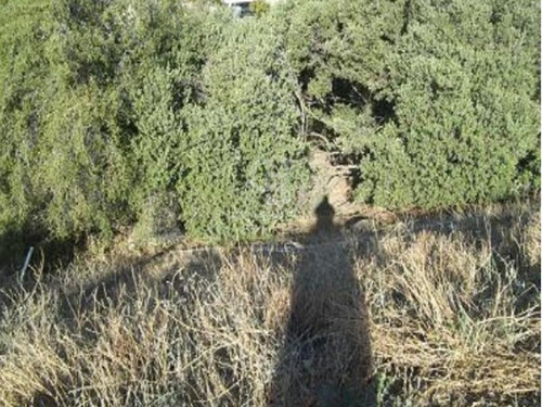 Venta De Terreno En La Dehesa
