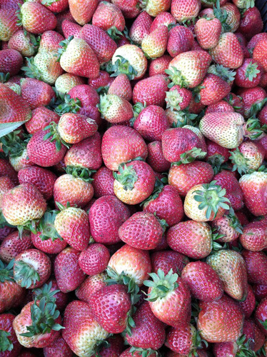 Imagen 6 de 7 de Fresas Por Cesta (al Mayor)