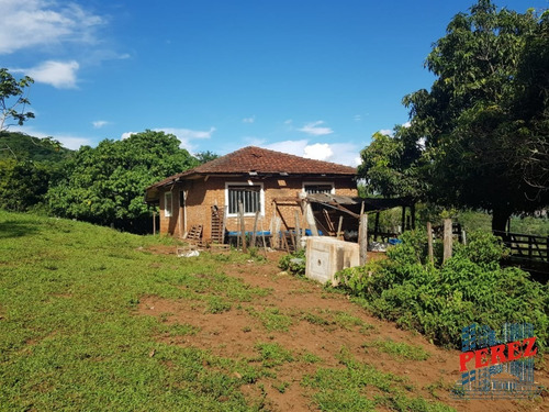 Chácaras_sítios_fazendas Para Venda - 13650.5197