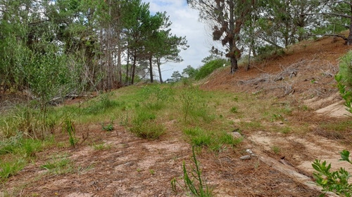 Imagen 7 de 7 de Lote La Esmeralda Rocha Uruguay. Oportunidad Unico A 2 1/2 Calles Del Mar.