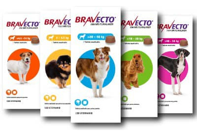 Pastillas Y Pipetas Bravecto Para Perros Y Gatos 