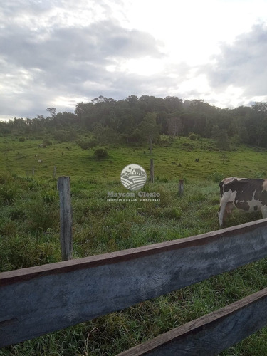 Imagem 7 de 9 de Venda Sítio Machadinho D'oeste Em Rondônia - Sia348