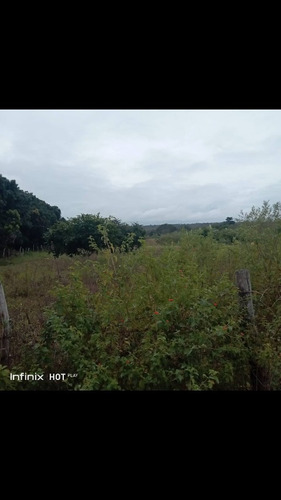 Imagen 5 de 10 de Se Vende Finca En Terragona Municipio Cedeño Ve02-1301ced-dced