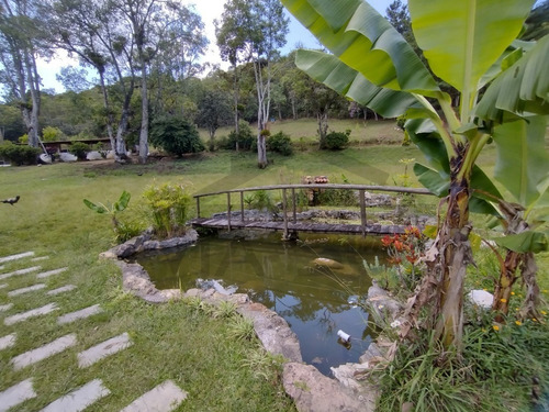 Imagem 12 de 30 de Belíssimo Sítio, Com Excelente Topografia E Rico Em Água - 52 - 70636338