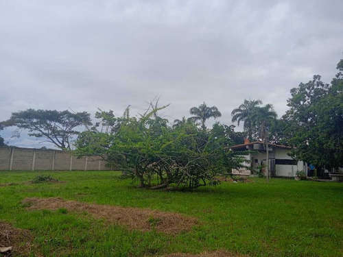 Imagen 10 de 30 de En Venta Finca Avicola Y Conejera Con Fondo De Comercio Para Embutidos