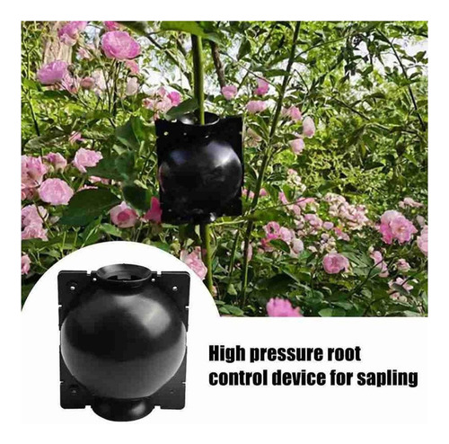 Acodos E Enraizamiento, Mxtbk-009, 25pzas, 5cm Ø, Negro, Cor