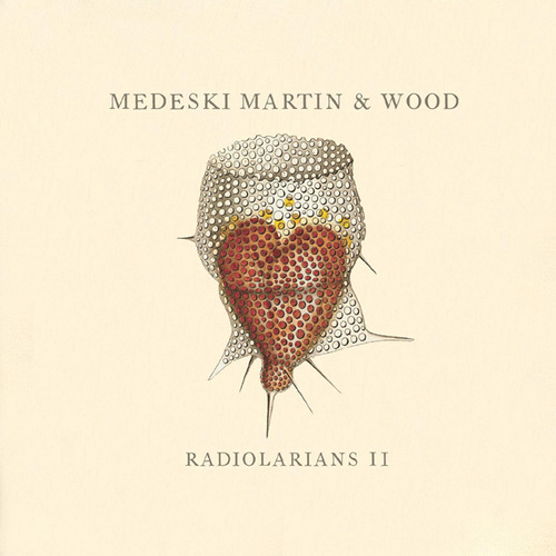 Cd: Cd De Importación De Medeski Martin & Wood Radiolarians