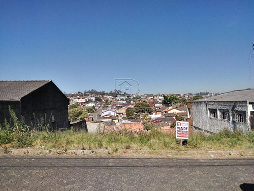 Imagem 1 de 5 de Terreno - Mina Do Mato - Ref: 30169 - V-30167