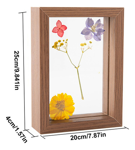 Marco Para Muestras De Flores Y Hojas Secas Con Marco De Cri
