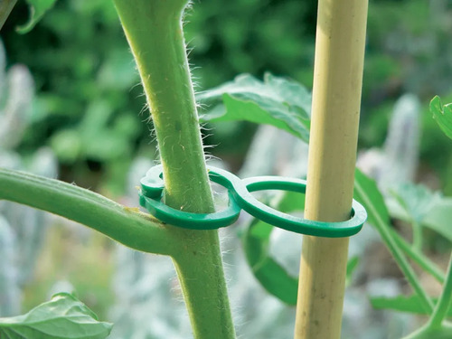 Jardinería Integral A Domicilio Y Empresarial