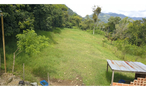 Lote En Amaga (suroeste Antioqueño)