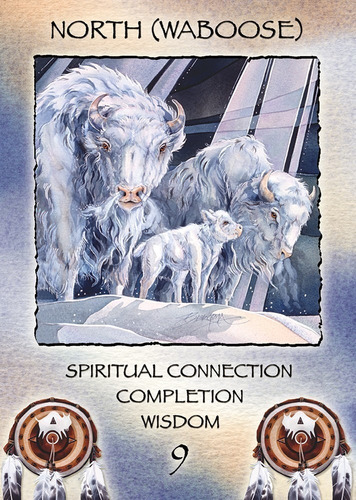 Spirit Of The Wheel - Oracle