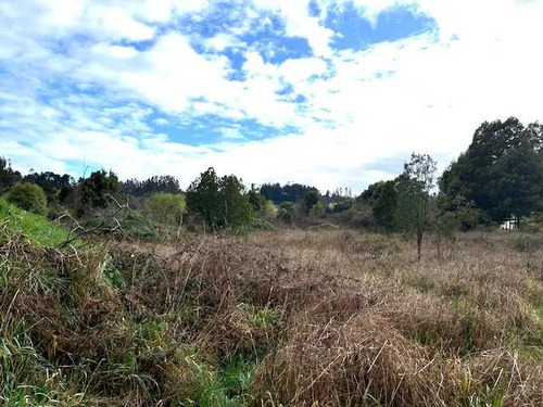 Sitio De 5.000 M2 Camino A Botrolhue (71564)