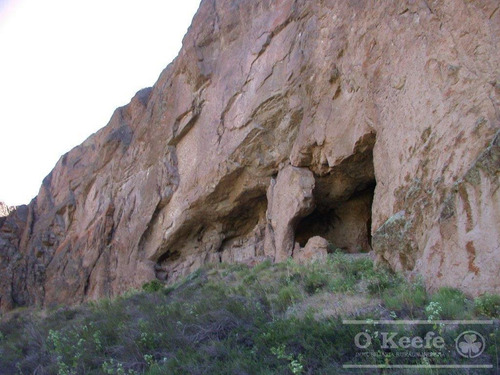 Campo En Venta De 635 Has Bariloche, Costa Del Pichileufu, Rio Negro.