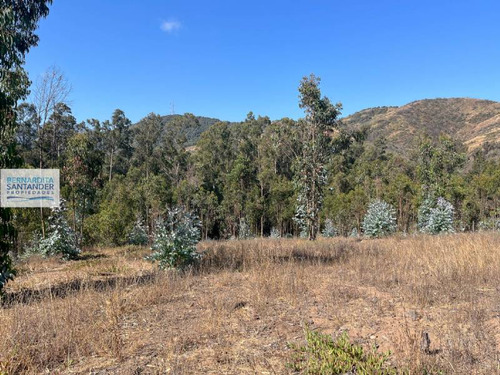 Sitios Aguas Claras, Cachagua