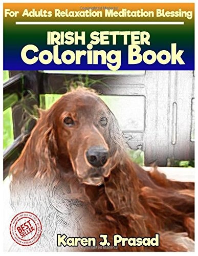 Irish Setter Coloring Book For Adults Relaxation Meditation 