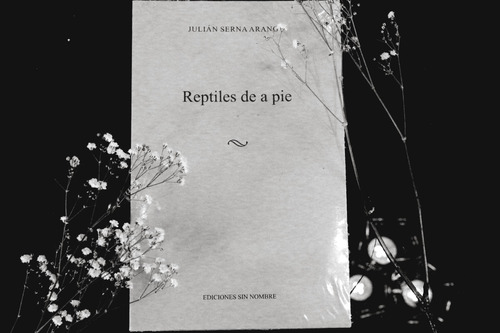Julián Serna Arango - Reptiles De A Pie 