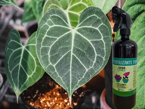 Fertilizante Para Anturios Y Violetas 1 Litro Urbe Verde